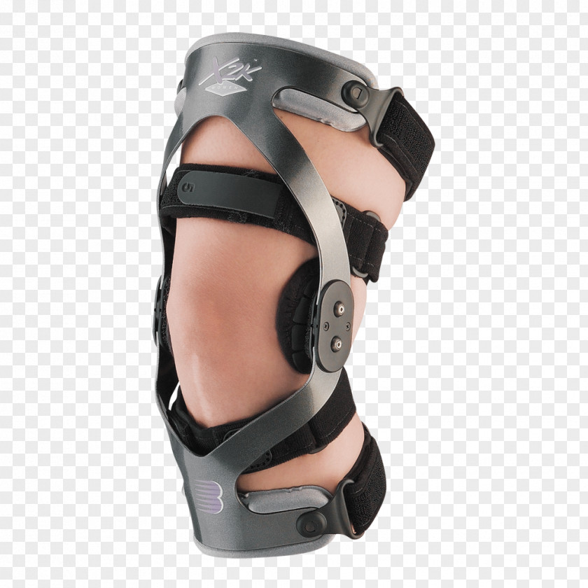 Braces Knee Back Brace Orthotics Anterior Cruciate Ligament PNG