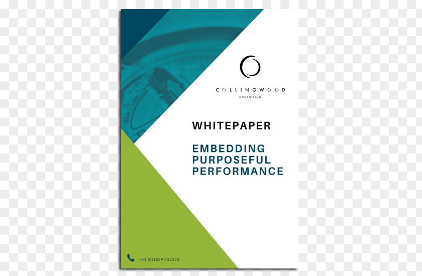 Business White Paper Leadership Executive Search Expert PNG