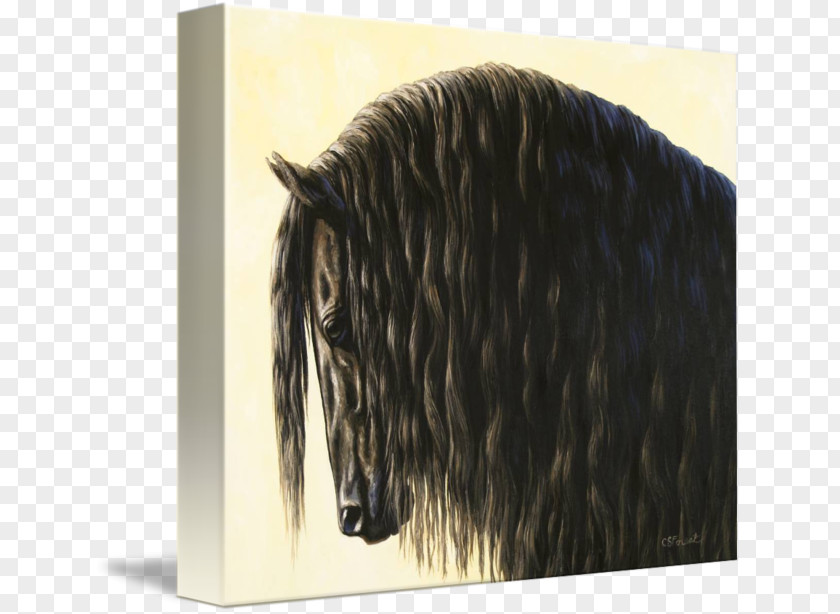 Friesian Horse Painting Canvas Print Mustang Stallion PNG