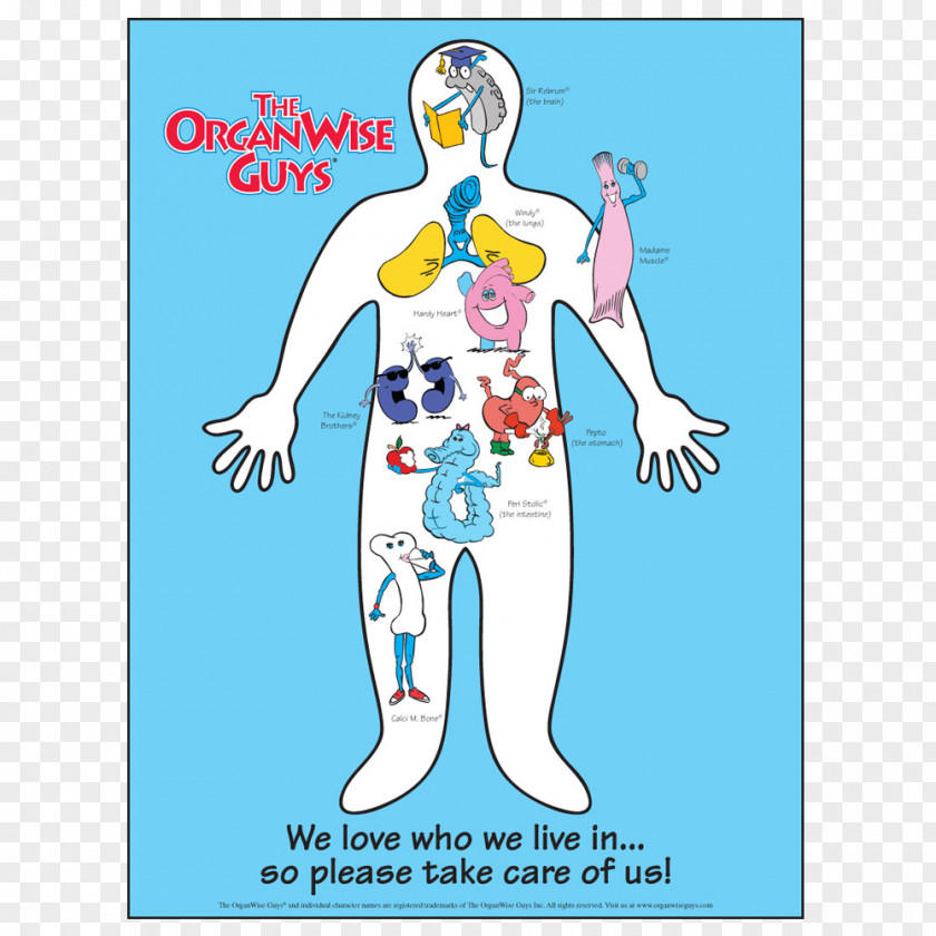 Health The OrganWise Guys Human Body Poster PNG