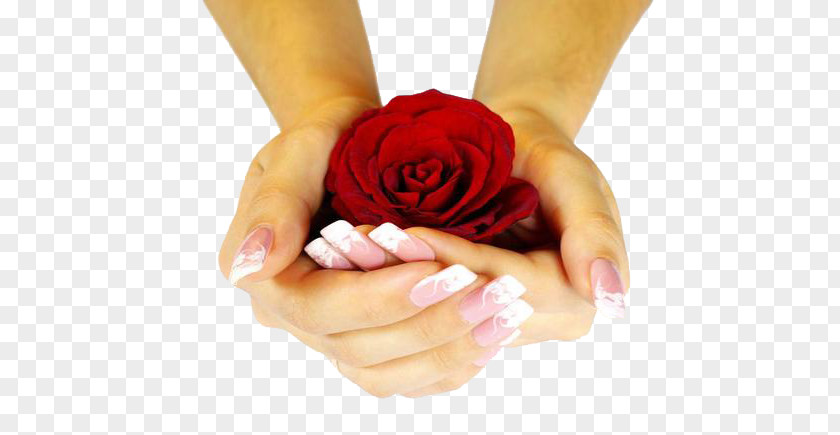 Holding Roses Nail Art Flower Rose Hand Color Wallpaper PNG