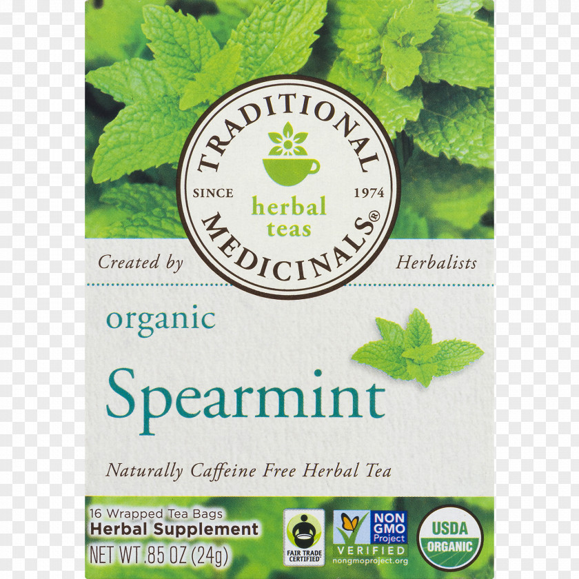 Tea Green Mentha Spicata Peppermint Organic Food PNG