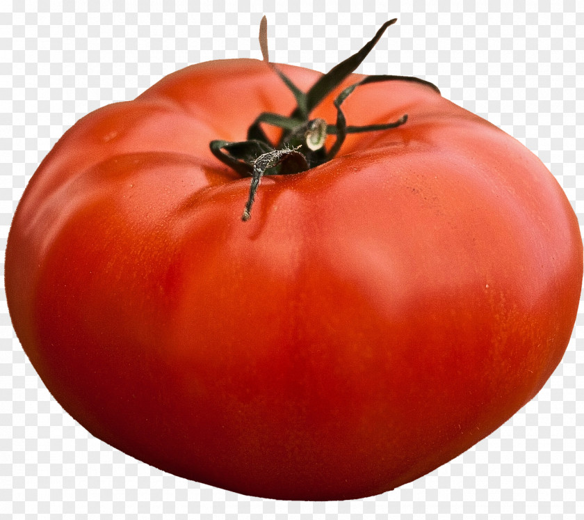 Tomato Beefsteak Seed Vegetable Heirloom Plant PNG