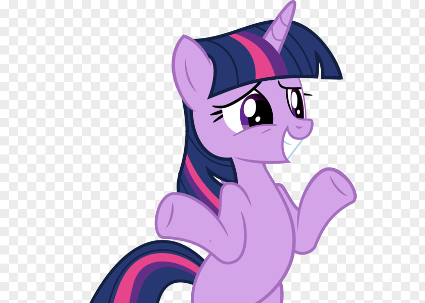 Cat Pony Twilight Sparkle Canterlot Equestria PNG