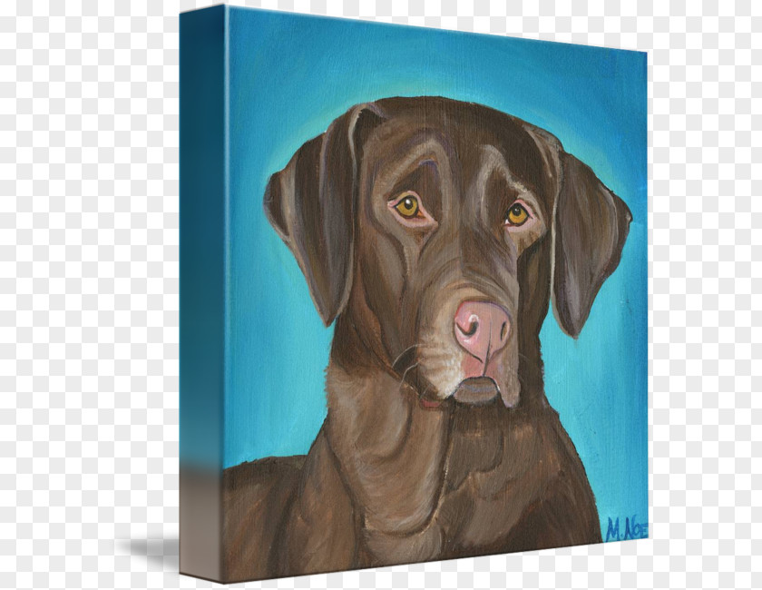 Chocolate In Kind Labrador Retriever Weimaraner Labradoodle Puppy Poodle PNG