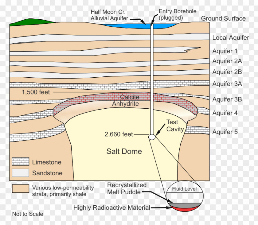 Line Ecoregion Angle Diagram Organism PNG