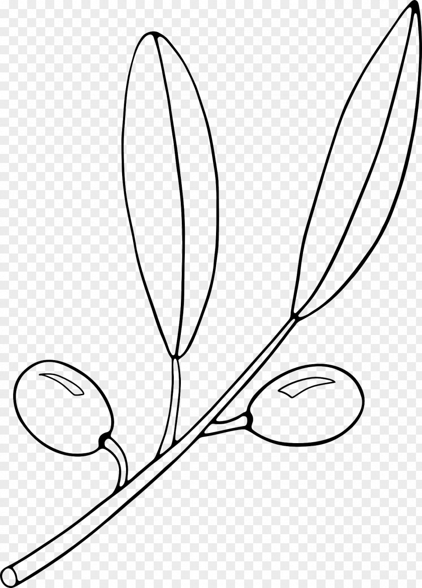 Olive Black And White Clip Art PNG
