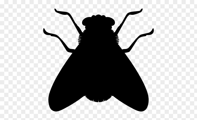 Silhouette Flies Insect Fly Icon PNG