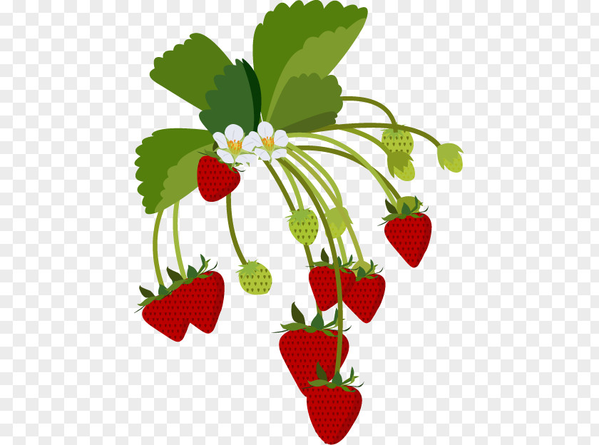 Strawberry Illustration Clip Art Daifuku PNG