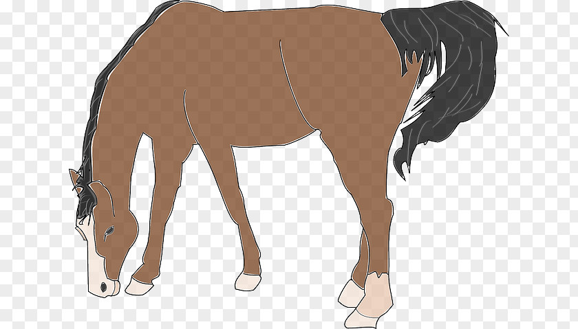 Belgian Horse Clip Art PNG