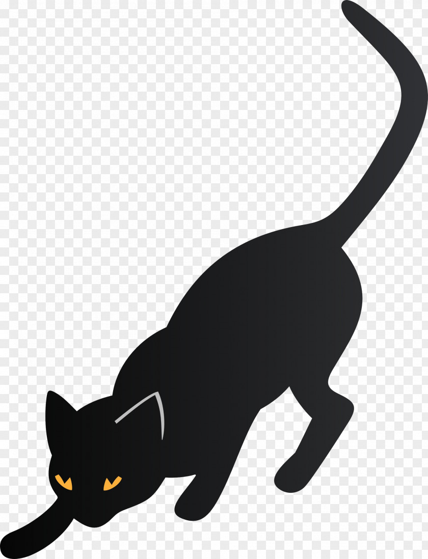 Cat Black Kitten PNG