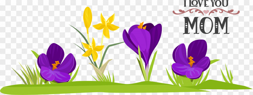 Floral Design PNG