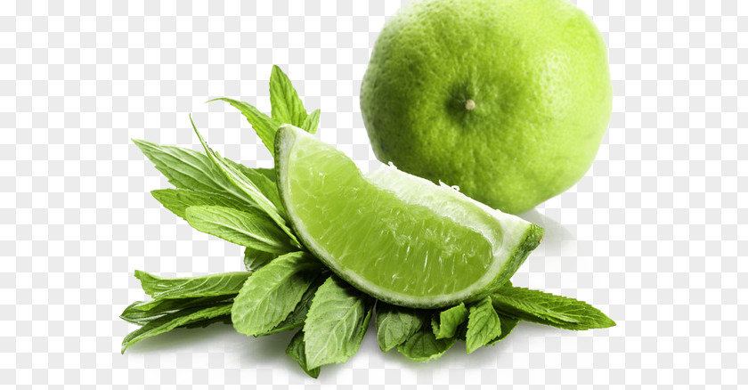 Lemon Key Lime Organic Food Seed PNG