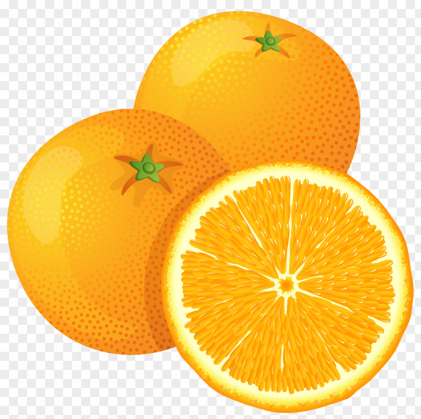 Orange Cliparts Juice Tangerine Clip Art PNG