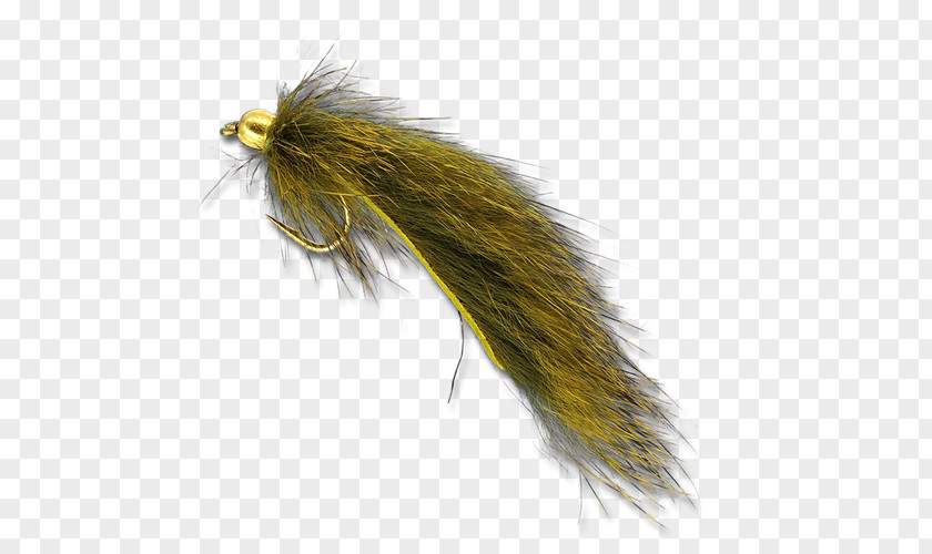 Pine Squirrel Invertebrate Leech The Fly Shop PNG
