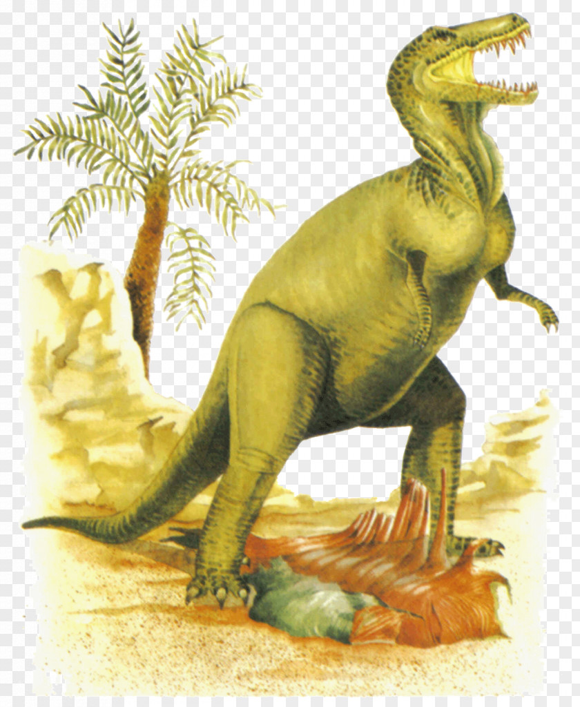 T Rex Tyrannosaurus Dinosaur Identifier Dinosaurier.: Das Neue Kompakte Bestimmungsbuch. Identifying Dinosaurs: The New Compact Study Guide And Velociraptor PNG