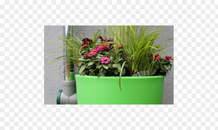 Water Rain Barrels Rainwater Harvesting Storage Tank Flowerpot PNG