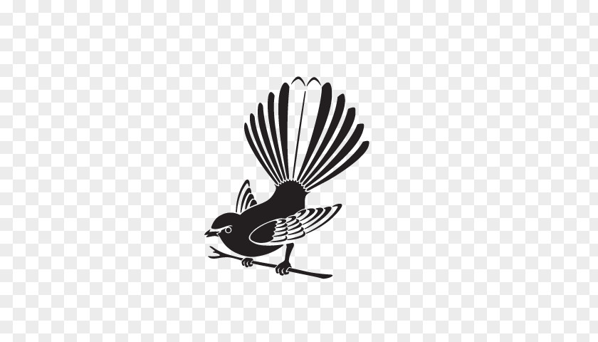 Bird New Zealand Fantail Clip Art Image Drawing PNG
