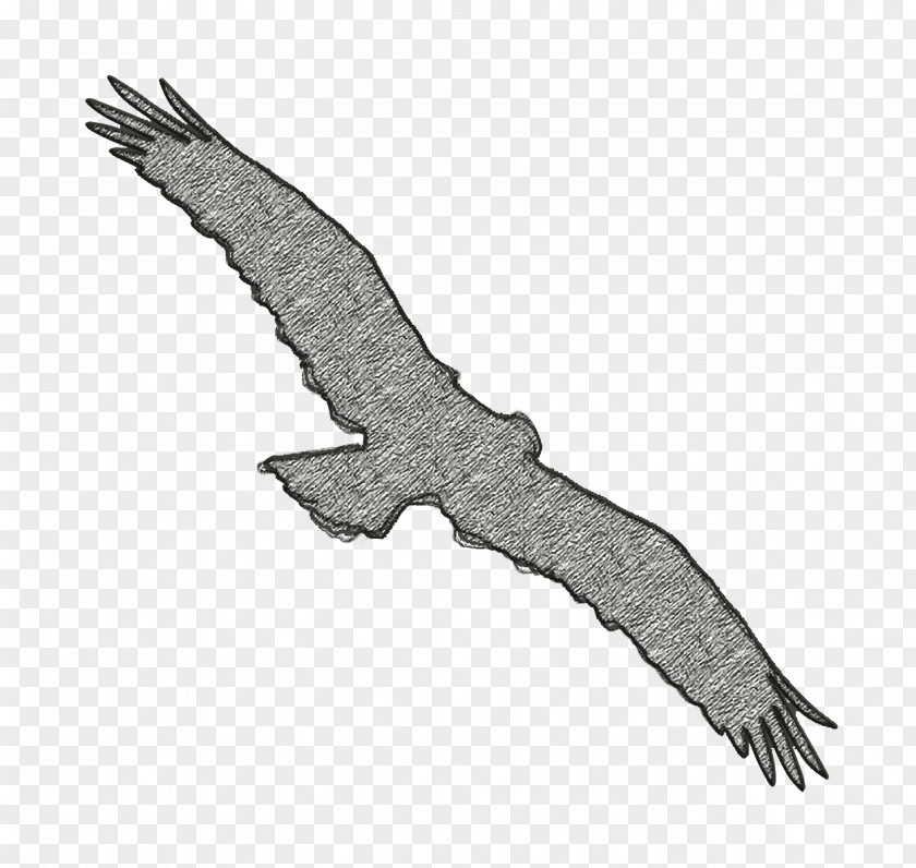 Bird Osprey Shape Icon Animal Kingdom PNG