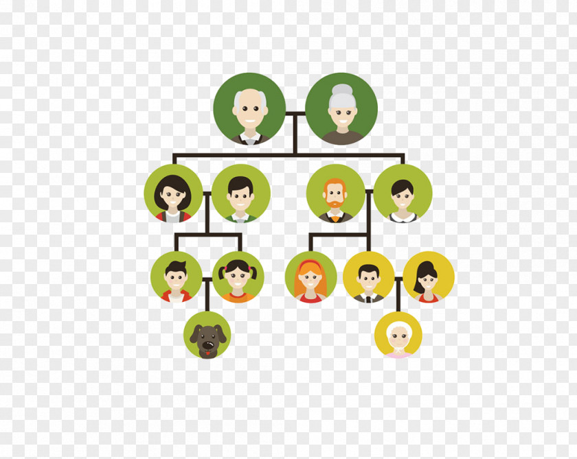 Family Tree Genealogy Ancestor PNG