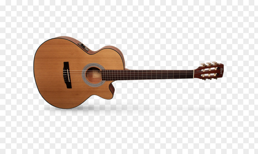 Guitar Classical Cort Guitars Steel-string Acoustic PNG