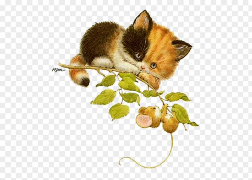Kitten Whiskers Cat Mouse Clip Art PNG