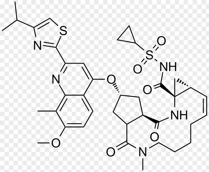 Protease NS3 Hepatitis C Virus Simeprevir Enzyme Inhibitor PNG