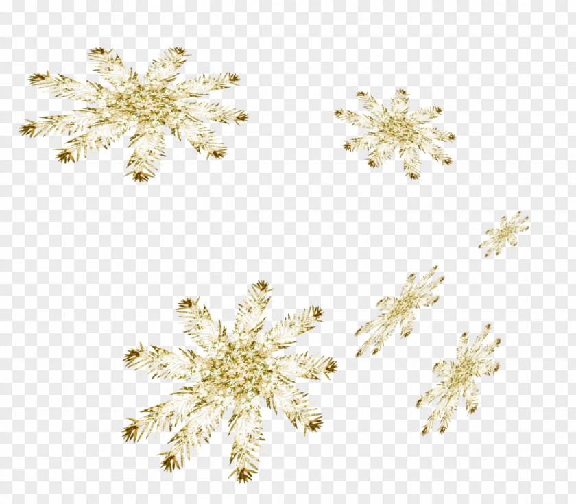 Snowflake Gold Clip Art PNG