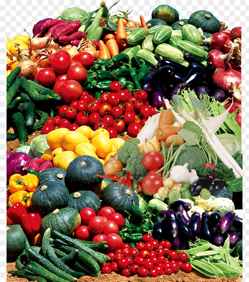 Vegetable Food Vector,Quality Vegetables Fruits And Leaf Fruit PNG