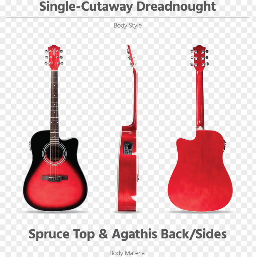 Acoustic Gig Guitar Acoustic-electric Tiple PNG