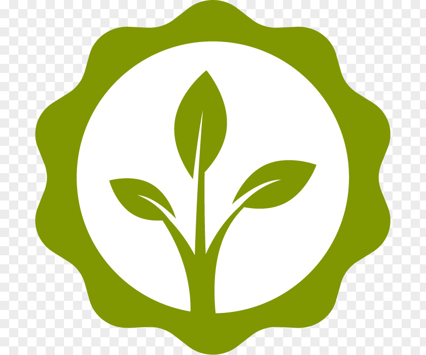 Community Badge Program Clip Art Leaf Flower Plant Stem Line PNG