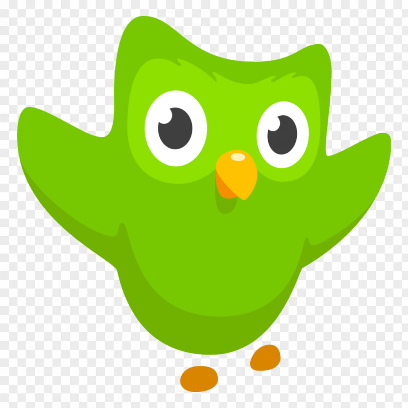Language LEARNING Duolingo Learning Education Acquisition PNG