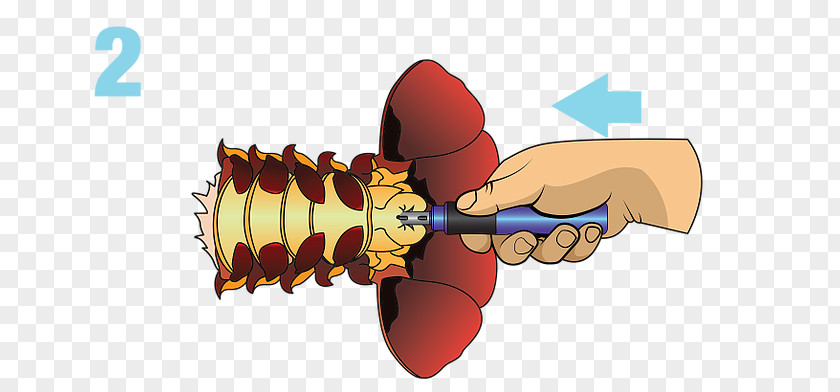 Lobster Belly Clip Art Finger Product Design PNG