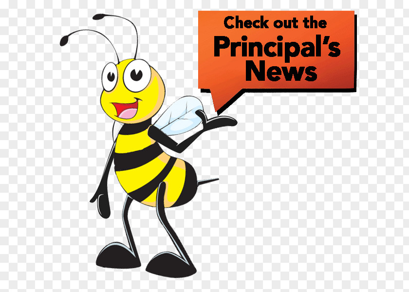 School Honey Bee Longitudinal Data System Elementary Head Teacher PNG