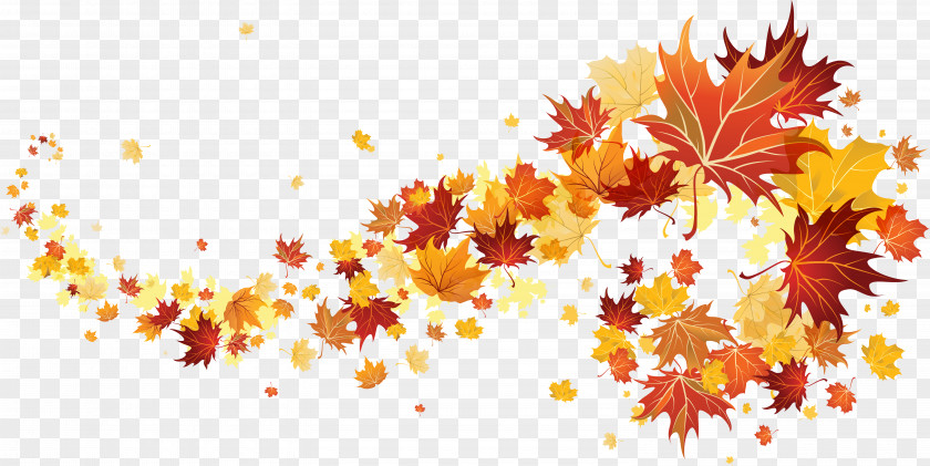 Autumn Leaves Clip Art PNG