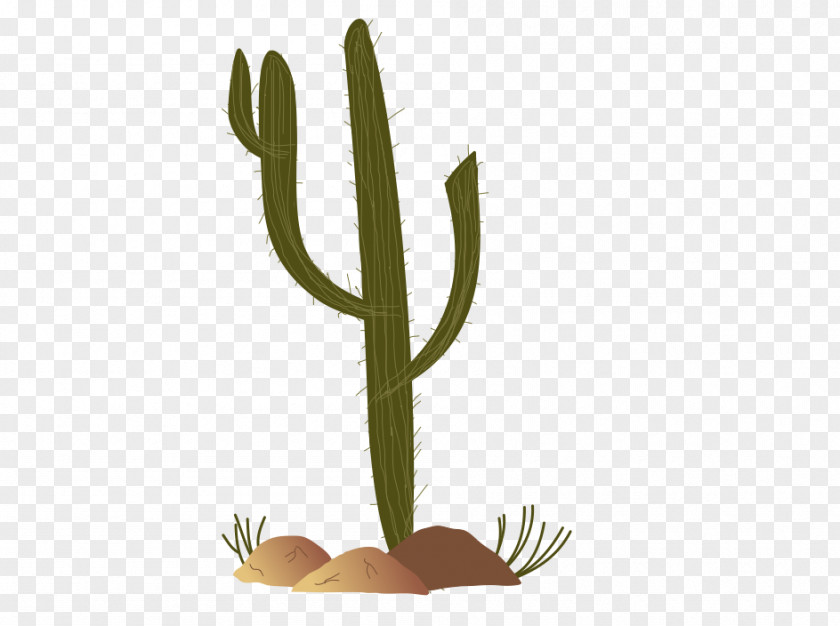 Cactus Images Free Sonoran Desert Cactaceae Saguaro Clip Art PNG