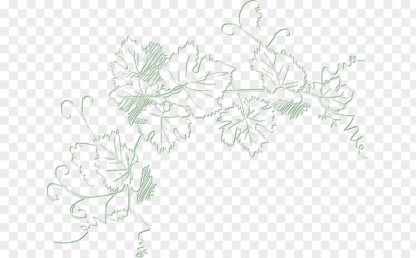 Croquis Floral Design Visual Arts Sketch PNG