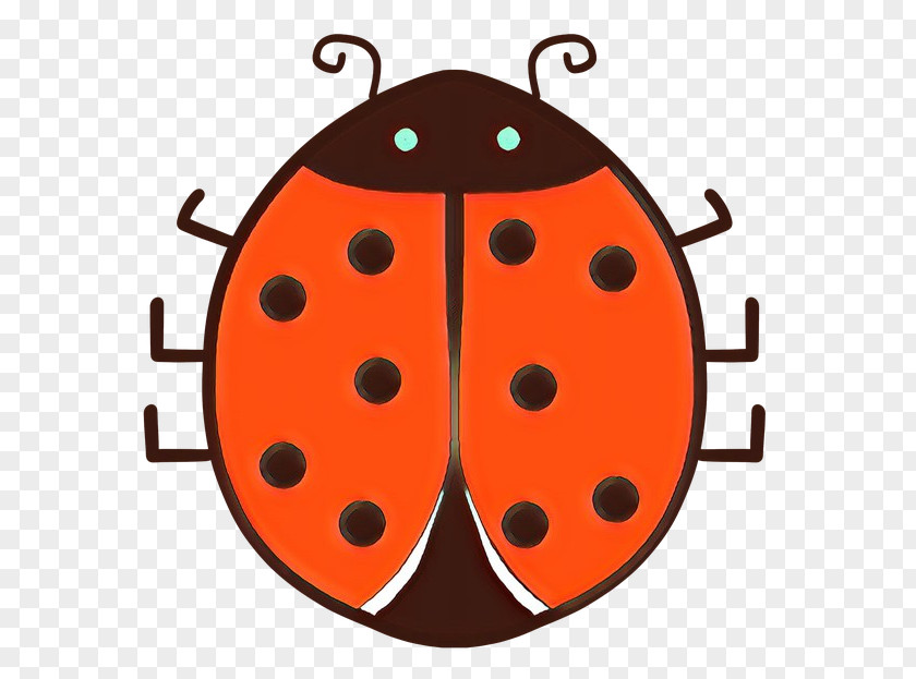 Insect Beetle PNG