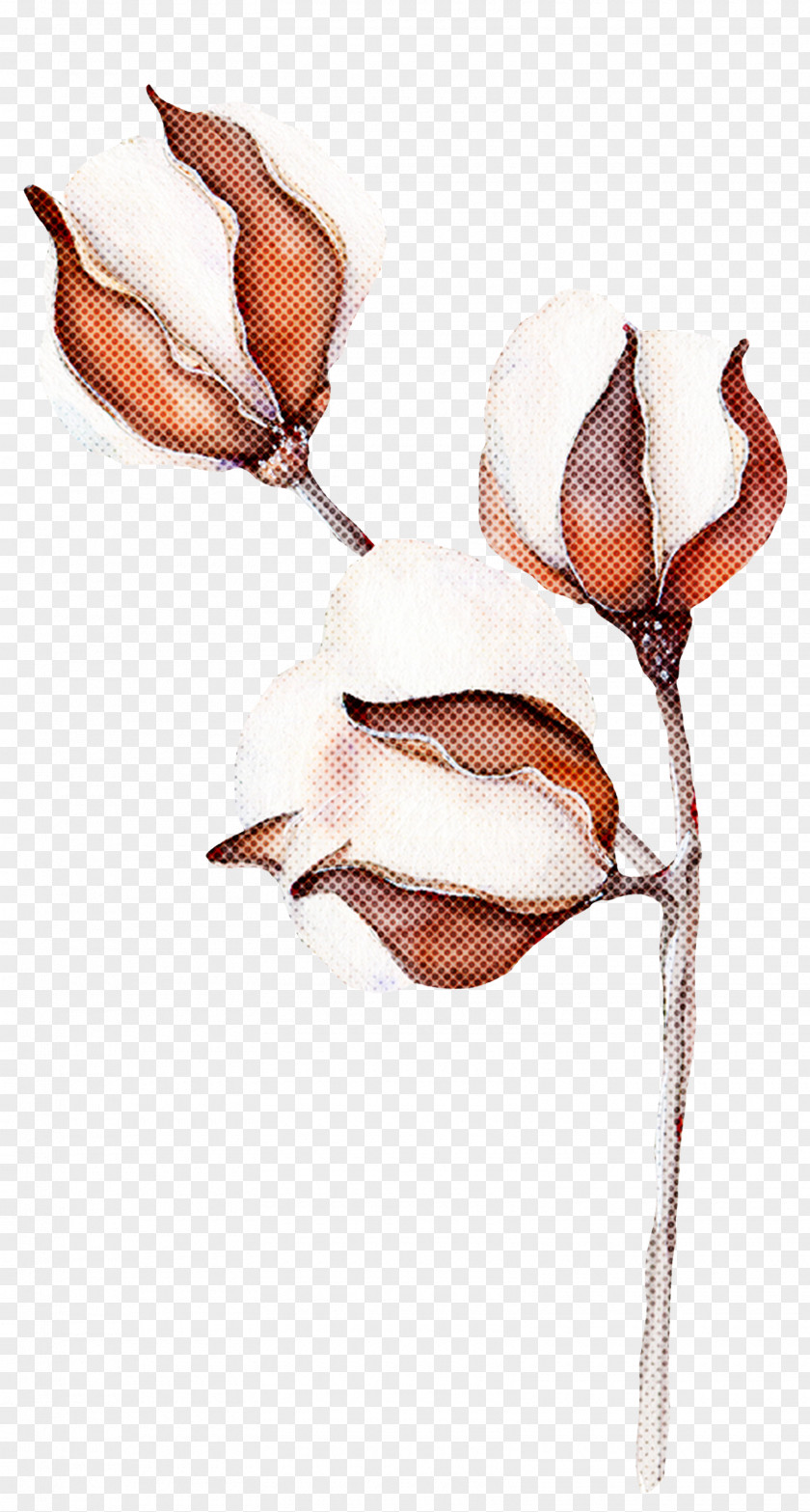 Magnolia Flower Plant Branch PNG