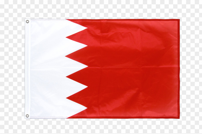 Bunting Flag 03120 Rectangle PNG