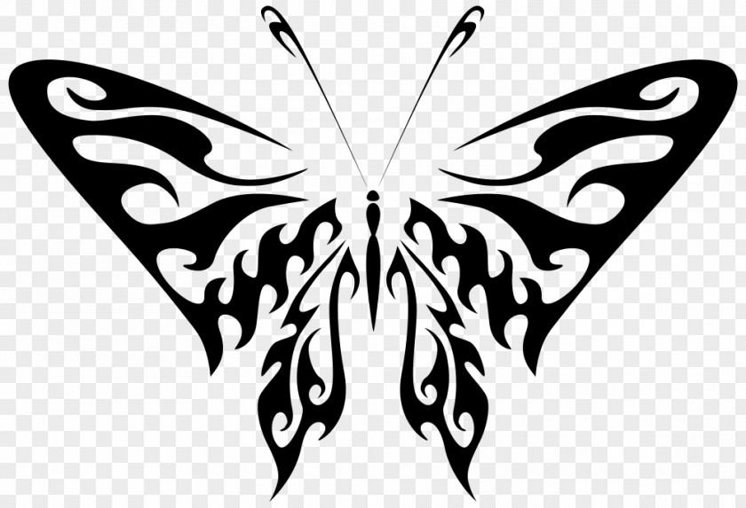 Butterfly Art Drawing Photography Clip PNG