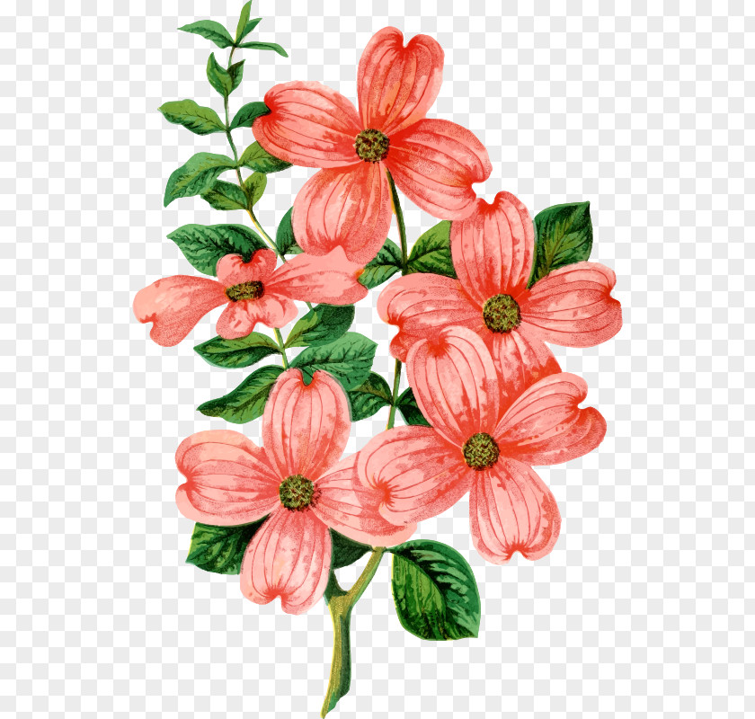 Christmas Floral Design Flower Bouquet Gift Clip Art PNG