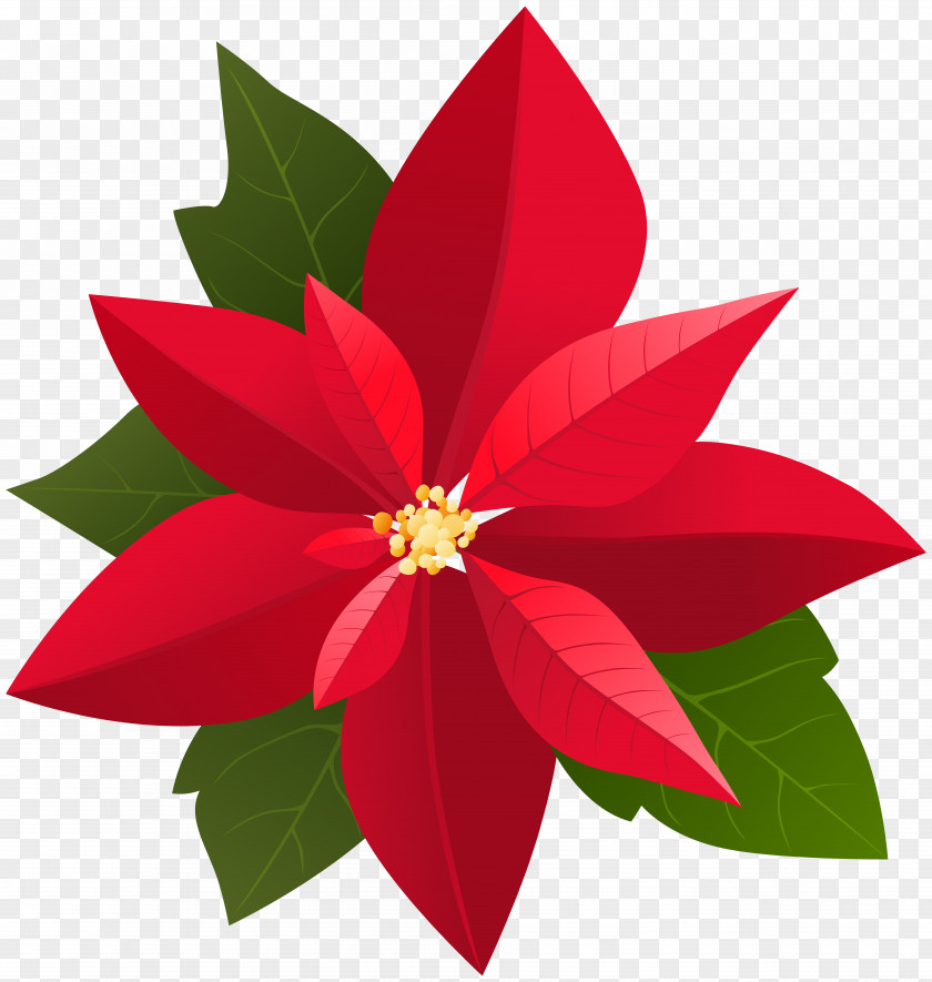 Christmas Poinsettia Clip Art 2018 Chrysler Pacifica Hybrid Befana PNG