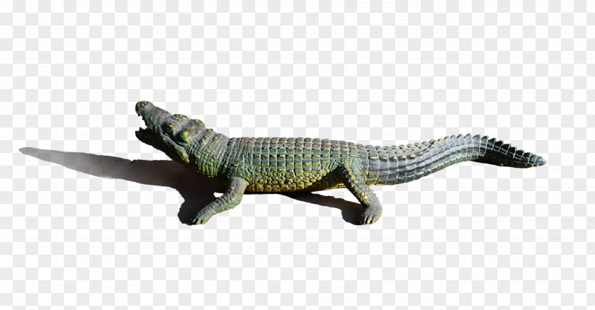 Crocodile Alligator Crocodiles Clip Art PNG