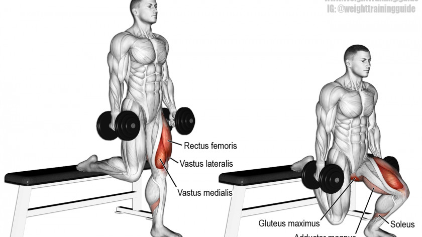 Barbell Squat Dumbbell Lunge Physical Exercise Deadlift PNG