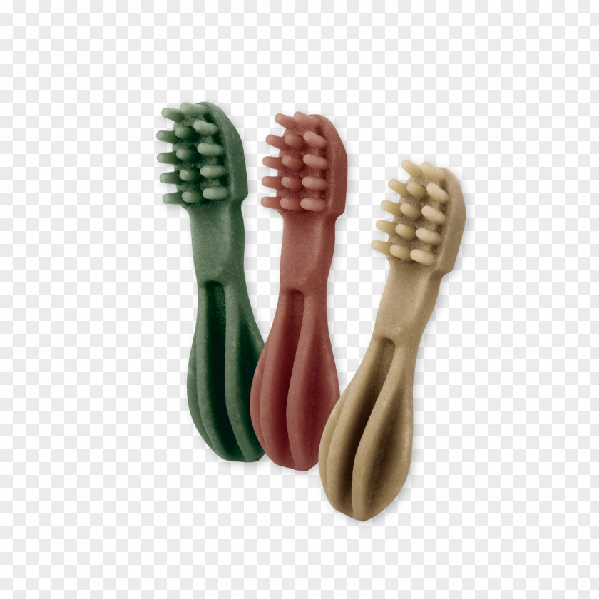 Toothbrush Dentistry Dental Plaque PNG