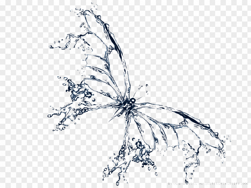 Water Elemental How To Catch Butterflies Royalty-free Clip Art PNG