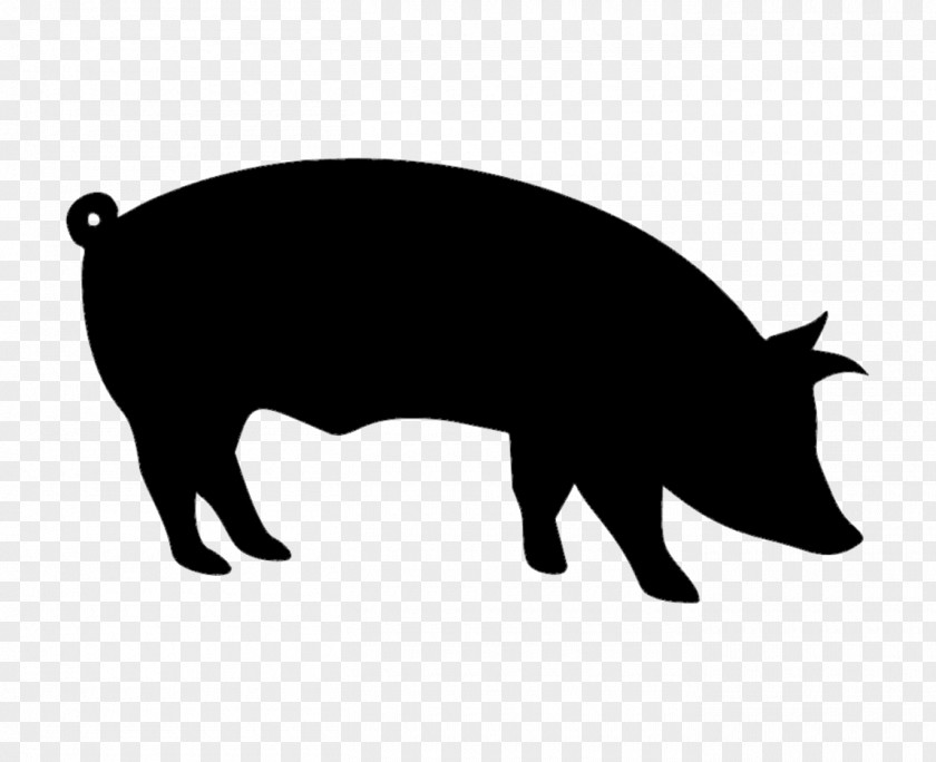 Livestock Snout Pig Cartoon PNG