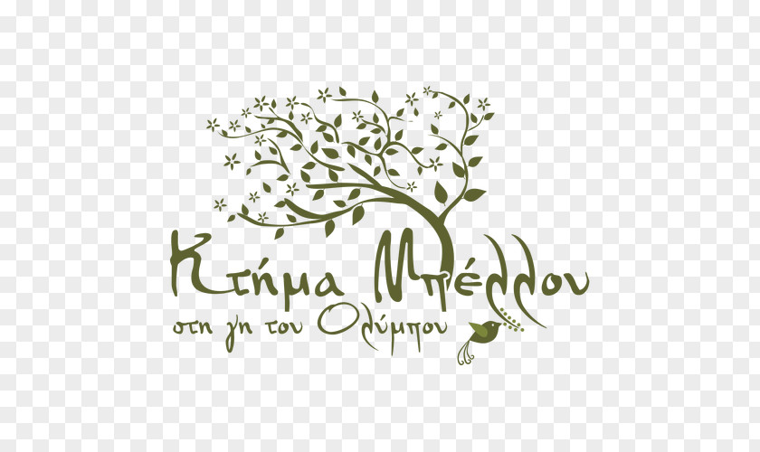 Mount Olympus Ktima Bellou ANODOS ΣΥΜΒΟΥΛΕΥΤΙΚΗ Afacere Business Logo PNG