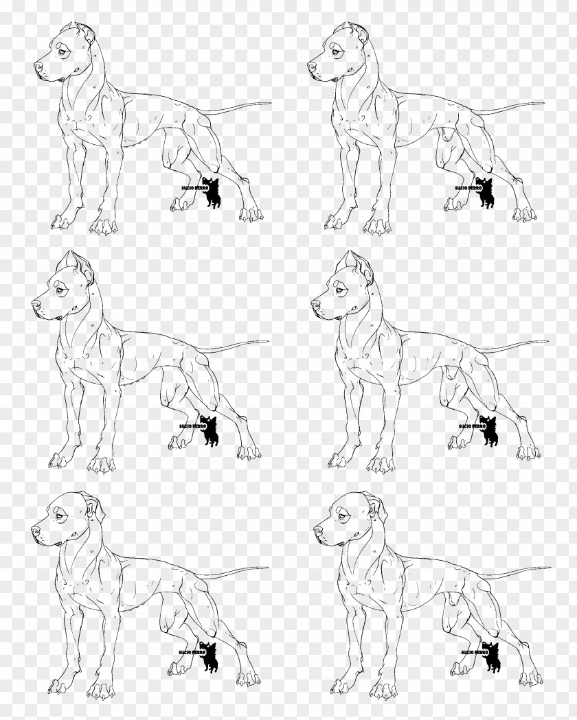 Paint Lines Dog Breed American Pit Bull Terrier Line Art Sketch PNG